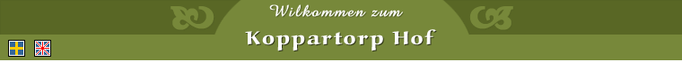 Ferienh�user in Sweden
